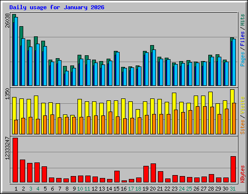Daily usage for January 2026