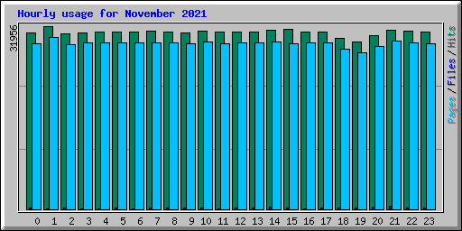 Hourly usage for November 2021