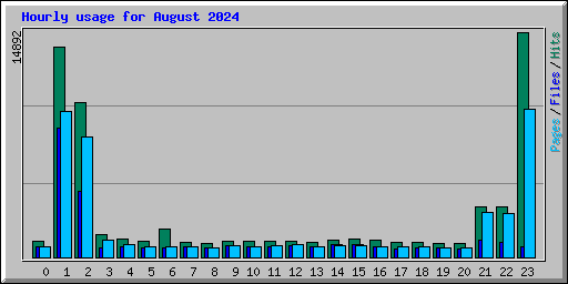 Hourly usage for August 2024