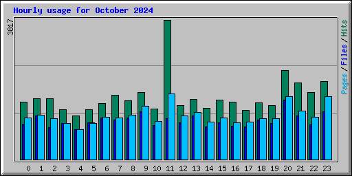 Hourly usage for October 2024