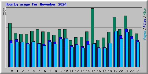 Hourly usage for November 2024