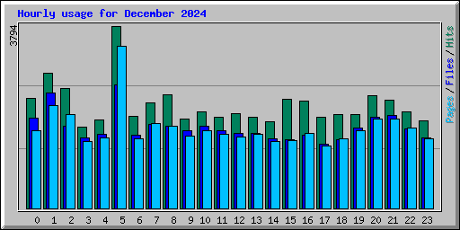 Hourly usage for December 2024
