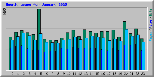 Hourly usage for January 2025