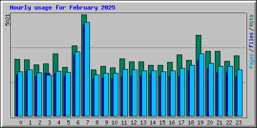 Hourly usage for February 2025