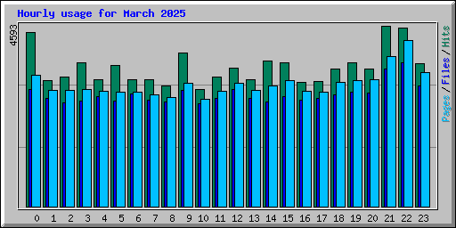 Hourly usage for March 2025
