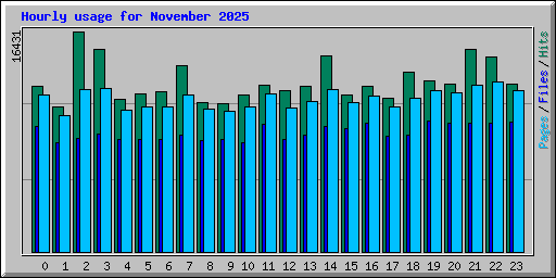 Hourly usage for November 2025