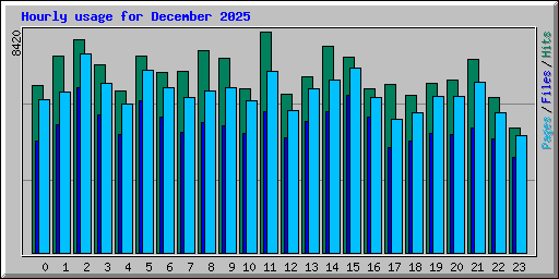 Hourly usage for December 2025
