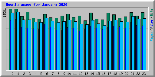 Hourly usage for January 2026