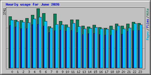 Hourly usage for June 2026