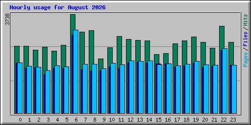 Hourly usage for August 2026